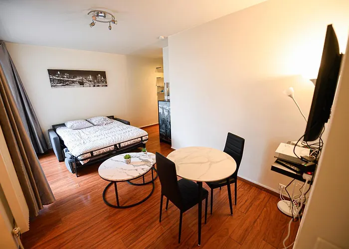 Studio De Luxe Les Champs Elysees 2